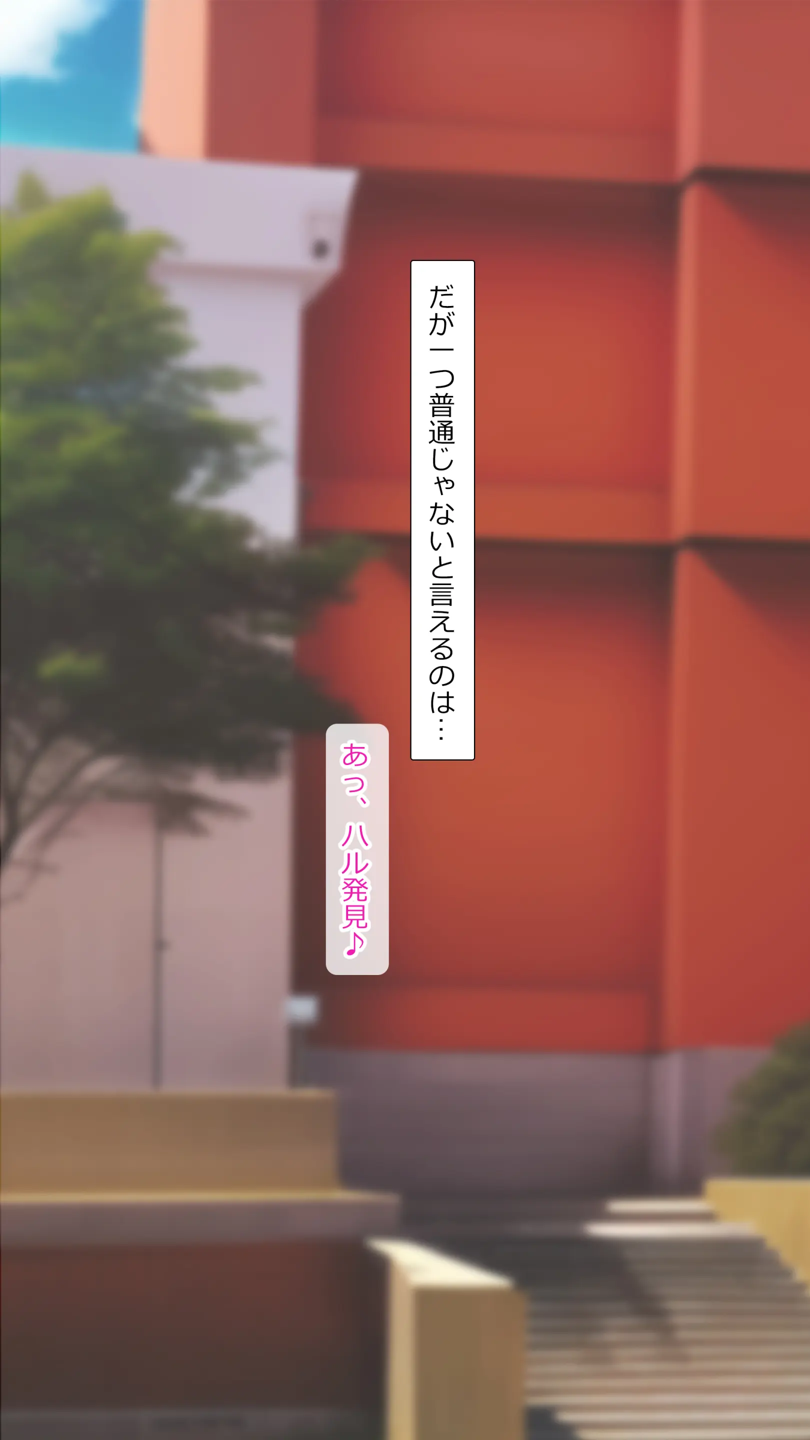 2023-02SET